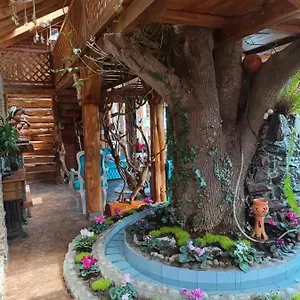 La Casa Del Arbol - Qiru