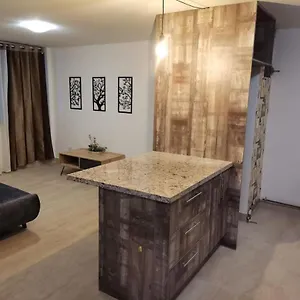 Apartment Departamento Carolina