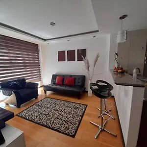 Amoblada En El Sector Del Moderno Apartment