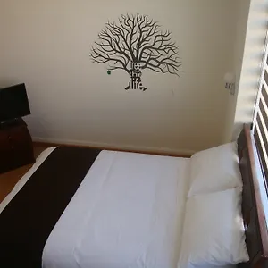 Hostel Urban
